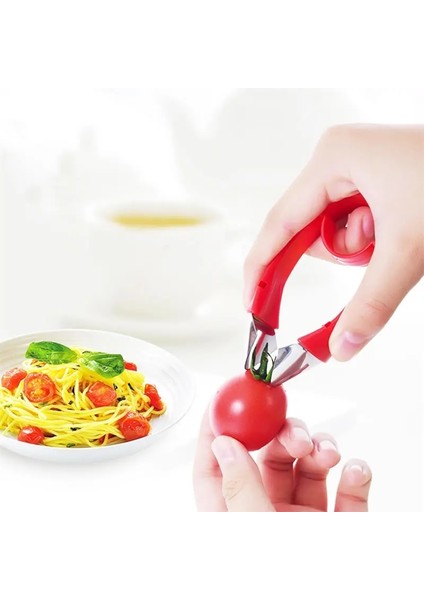 Karot Cihazı Meyve Sapları Ayırıcı Sökücü Domates Meyve Çilek Pedikül Çıkarma Cihazı Kök Ayırıcı Patates Göz Sökücü Mutfak Aracı (Yurt Dışından) modelleri