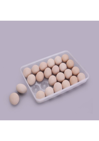 Beyaz 2 Şeffaf Yumurta Kabı, Kapaklı 48 Yumurta, Kolay Taşıma Aksesuar Seti Bulaşık Makinesinde Yıkanabilir Taşıyıcı, Istiflenebilir (Yurt Dışından)
