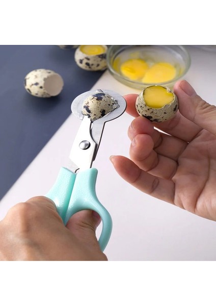 Beyaz Paslanmaz Çelik Yumurta Bıldırcın Yumurtası Makas Kuş Yumurta Makas Kesiciler Yumurta Kabuğu Kesiciler Yumurta Açacağı Makas Mutfak Kesim Yumurta Kabuğu Aracı (Yurt Dışından) modelleri