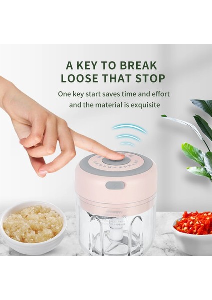 Set A Plus 100/250ML Mini Elektrikli Sarımsak Ezici Kıyıcı Kesici Zencefil Ezici Makinesi Mutfak Gıda Kırıcı Biber Sebze USB Şarj (Yurt Dışından)