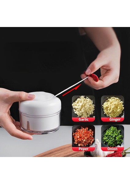 Stil 1 Çok Fonksiyonlu Gıda Sarımsak Soyma Rende Manuel Sarımsak Ezici Zencefil Blender El Çekme Sebze Kıyma Makinesi Mutfak Aletleri (Yurt Dışından) fırsatları