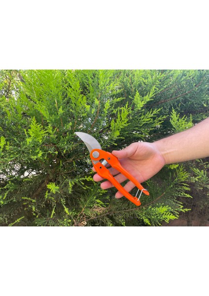 Bağ Bahçe Bitki Budama Makası, Bahçe Düzenleme Aracı, Ağaç Budama, El Yapımı Yüksek Kalite Çelik modelleri