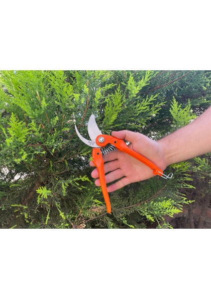 Bağ Bahçe Bitki Budama Makası, Bahçe Düzenleme Aracı, Ağaç Budama, El Yapımı Yüksek Kalite Çelik fırsatları