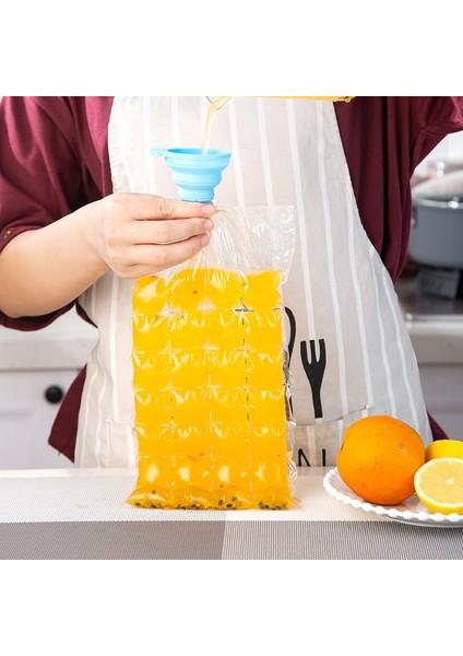50 Torba Seti Tek Kullanımlık Taşınabilir Buz Torbaları 10 Parça Buz Kalıpları Şeffaf ve Daha Hızlı Dondurucu Buz Torbaları (Yurt Dışından)