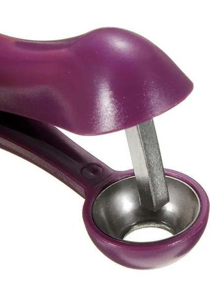 Kırmızı Mutfak Kolay Kiraz Meyve Çekirdeği Tohum Sökücü Meyve Kiraz Pitter Tart Mutfak Meyve Nükleer Aracı Aksesuarları (Yurt Dışından) indirimleri