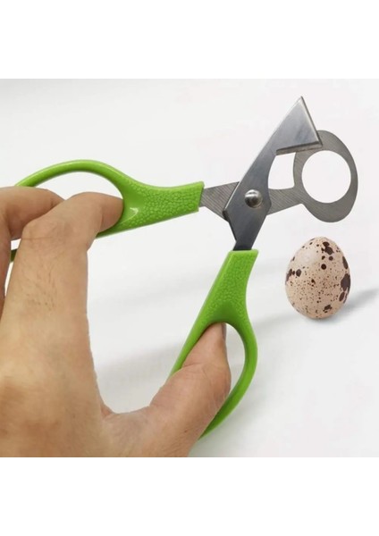 10PC-05 10 Adet/takım Güvercin Bıldırcın Yumurtası Makas Kuş Kesici Açacağı Paslanmaz Çelik Kesme Makinesi Kabukları Makas Kraker Bıçak Mutfak Aksesuarları (Yurt Dışından) modelleri