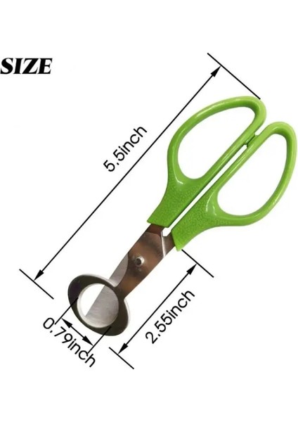 01 Yumurta Makas Paslanmaz Çelik Bıldırcın Yumurtası Makas Açacağı Yaratıcı Çiğ Yumurta Açık Bıçak Kesme Aletler Mutfak Aksesuarları Için Set (Yurt Dışından) fırsatları