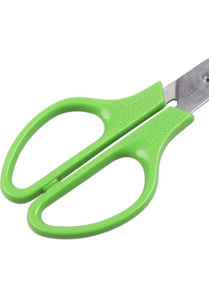 04 Yumurta Makas Paslanmaz Çelik Bıldırcın Yumurtası Makas Açacağı Yaratıcı Çiğ Yumurta Açık Bıçak Kesme Aletler Mutfak Aksesuarları Için Set (Yurt Dışından) indirimleri