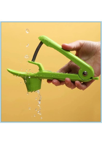 Açık Yeşil Mutfak Aksesuarları Alet Araçları Kiraz Çekirdeği Temizleme Zeytin Çekirdeği Sökücü Meyve Çekirdeği Gadget Çekirdeksiz Meyve Accessori Kolay (Yurt Dışından) indirimleri