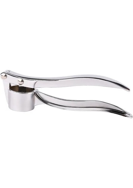 11 Çok Fonksiyonlu Paslanmaz Çelik Sarımsak Presi Taşlama Rende Ezme Aracı Baskı Kavisli Sarımsak Taşlama Dilimleme Kıyıcı Basın Gadget (Yurt Dışından)