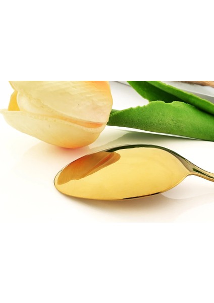 Tatlı Çatalı 6 Adet Drmfiy Royal 6/24 Adet Çatal Bıçak Kaşık Seti Paslanmaz Çelik Batı Yemek Takımı Sofra Seti Bıçaklar Çatal Kahve Çay Kaşığı Gümüş Set (Yurt Dışından) fiyatları