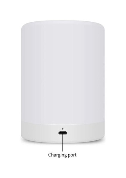 Rechargeable LED Night Light Table Lamp - Warm White & Color Changing Rgb, Smart Touch, Portable Bedside Lamp (Yurt Dışından)