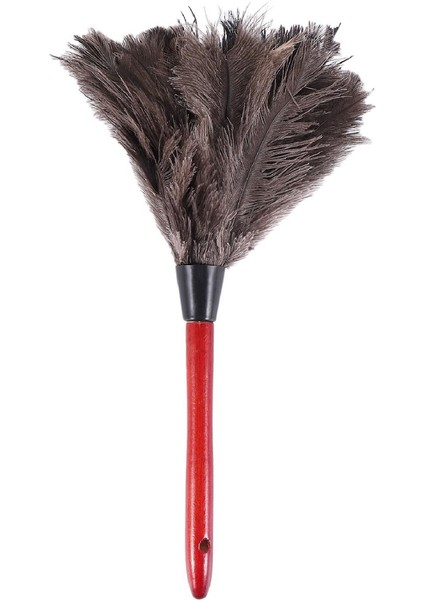 Çeşitli Fotoğraf Renklerinde Devekuşu Temizleme Tüyü Silgi Fan Kanatları (Yurt Dışından)