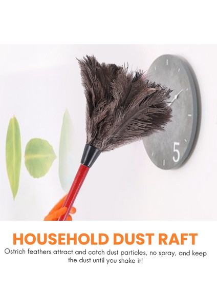 Çeşitli Fotoğraf Renklerinde Devekuşu Temizleme Tüyü Silgi Fan Kanatları (Yurt Dışından) modelleri