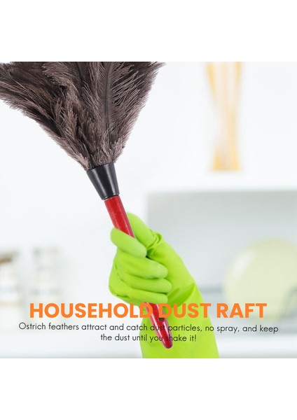 Çeşitli Fotoğraf Renklerinde Devekuşu Temizleme Tüyü Silgi Fan Kanatları (Yurt Dışından) fırsatları