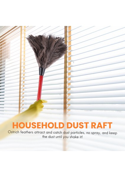 Çeşitli Fotoğraf Renklerinde Devekuşu Temizleme Tüyü Silgi Fan Kanatları (Yurt Dışından) indirimleri