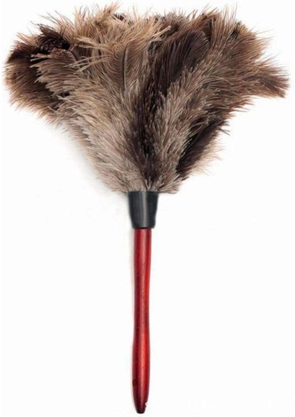 Devekuşu Temizleme Tüyü Silgi Devekuşu Silgi Devekuşu Tüyü Silgi Yumuşak Tüyler Silgi Mobilyadan Çeşitli Işlerin Fanlarına Fotoğraf Rengi (Yurt Dışından) fiyatları