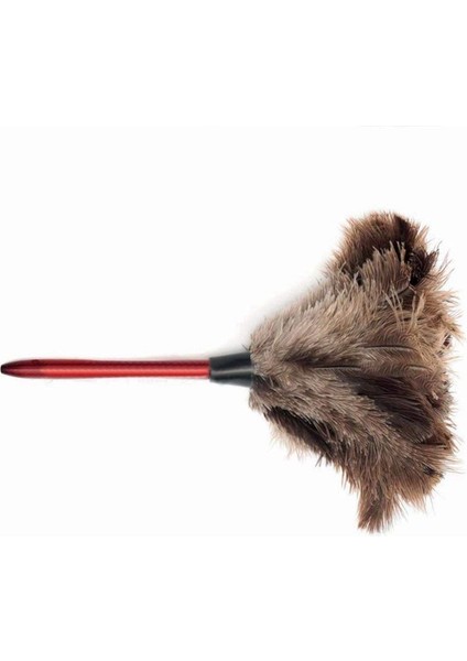 Devekuşu Temizleme Tüyü Silgi Devekuşu Silgi Devekuşu Tüyü Silgi Yumuşak Tüyler Silgi Mobilyadan Çeşitli Işlerin Fanlarına Fotoğraf Rengi (Yurt Dışından) modelleri