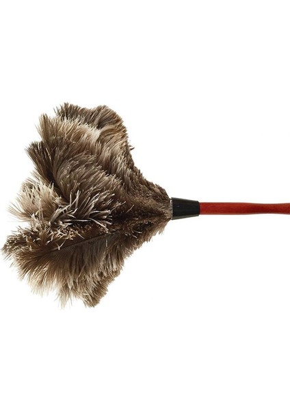 Devekuşu Temizleme Tüyü Silgi Devekuşu Silgi Devekuşu Tüyü Silgi Yumuşak Tüyler Silgi Mobilyadan Çeşitli Işlerin Fanlarına Fotoğraf Rengi (Yurt Dışından) indirimleri