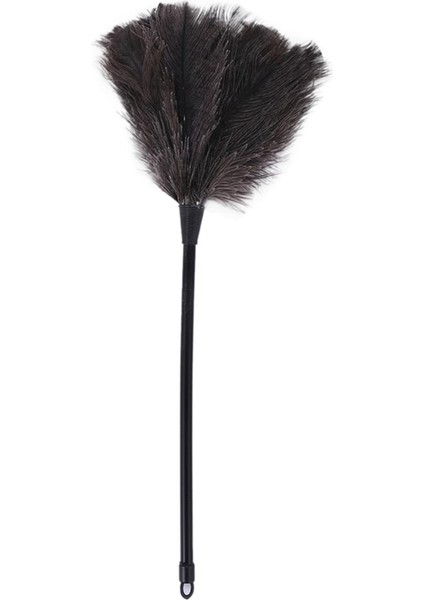 Nanlıy-Devekuşu Silgi Tüy Duster Uzun Plastik Saplı Temizleme Fırçası Aracı Temizleme Duster Ev Temizlik Aracı (Yurt Dışından)