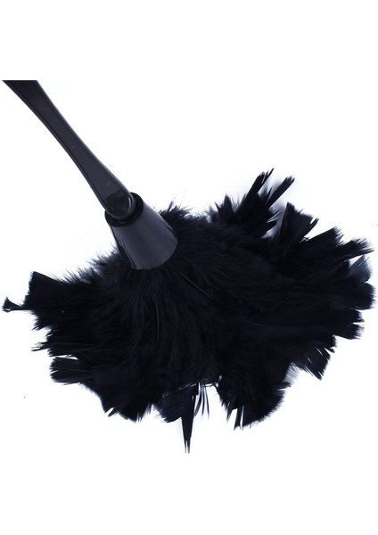 Adet Moda Türkiye Tüy Silgi Siyah Plastik Saplı Temizleme Aracı (Siyah) 35 cm (Yurt Dışından)