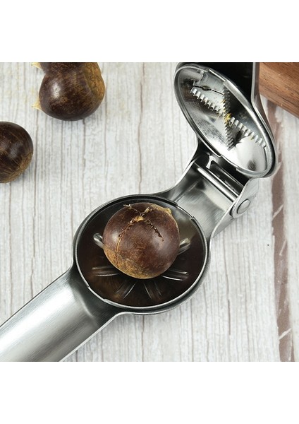 BB03-BLACK 2 In 1 Paslanmaz Çelik Kestane Açacağı Hızlı Ceviz Klip Kestane Soyucu Çeşitli Fındıklar Için Mutfak Aletleri Kestane Kesici (Yurt Dışından) fırsatları