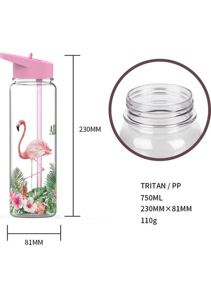 Stil 6 750ML 750ML/25OZ 100% Tritan Spor Açık Saman Su Şişesi Flamingolar ve Tek Boynuzlu At Baskı Içeceğim Suyu Kolu Saman Su Isıtıcısı (Yurt Dışından)