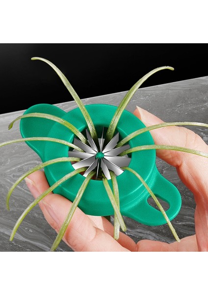 Yeşil Parçalayıcı Ipek Bıçak Dilimleme Yeşil Soğan Kesici Hızlı Gıda Parçalayıcı Sebze Rende Mutfağı Outils Soğan Parçalayıcı Mutfak Aksesuarları (Yurt Dışından) fiyatları