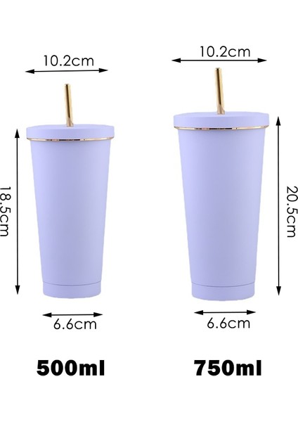 Normal Mavi 750ML 500/750ML Yalıtımlı Paslanmaz Çelik Bardak Kapaklı Bardak Saman Vakum Seyahat Kahve Kupa Sıcak Soğuk Içecekler Için Yeniden Kullanılabilir Su Şişesi (Yurt Dışından)