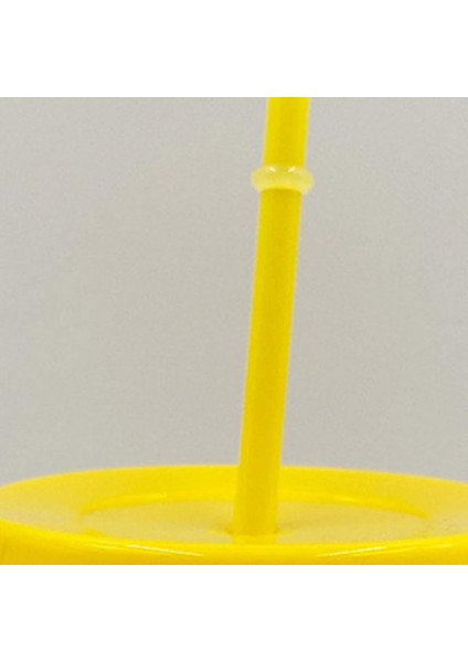 Kırmızı S Yeniden Kullanılabilir Soğuk Bardaklar Plastik Kapaklı Bardak Çok Renkli Noel Pipetli Bardak Şenlikli Yeniden Kullanılabilir Pp Düz Renk Içme Bardağı (Yurt Dışından)