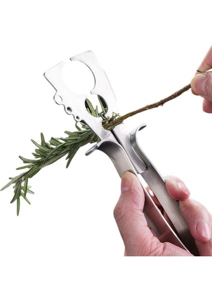 Yaprak Striptizci Bitki Soyucu Mutfak Sebze Aracı Bitki Soyucu Kale Pazı Karalahana Yeşiller Kekik Fesleğen Biberiye (Yurt Dışından)