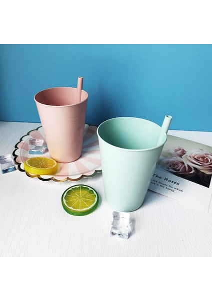1pembe 5yeşil 6'lı Paket Dahili Pipetli Bardak Plastik Sippy Içme Bardağı Çocuklar ve Yetişkinler Için, Bulaşık Makinesinde Yıkanabilir, 2 Ücretsiz Pipet Fırçası ile (Yurt Dışından) modelleri