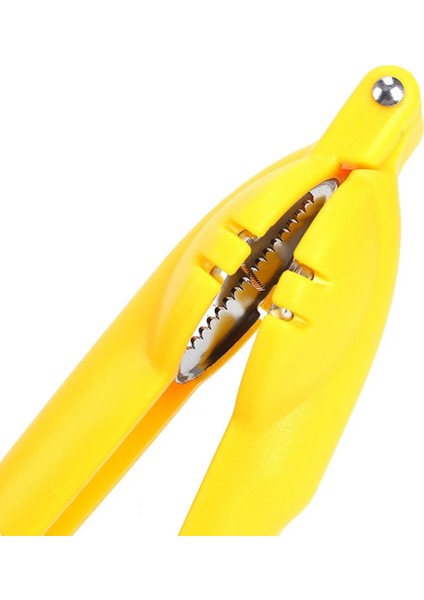 Paslanmaz Çelik 2 In 1 Paslanmaz Kestane Makinesi Mutfak Aksesuarları Kestane Kılıf Taşınabilir Kestane Kesici Ev Kestane Klip Açıcı Somun (Yurt Dışından) indirimleri