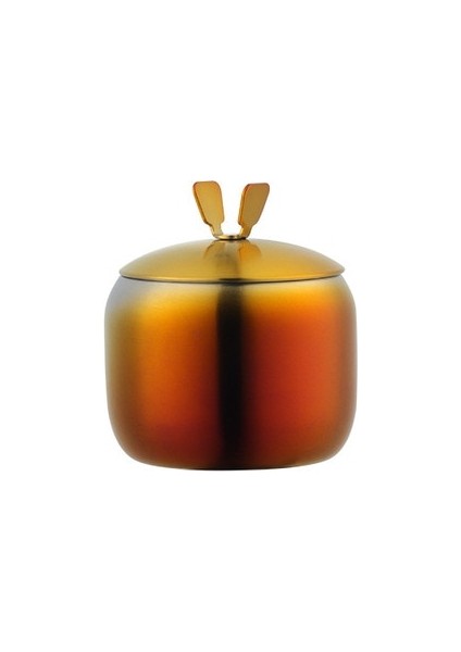 Iridescence-3 Mutfak Paslanmaz Çelik Altın Baharat Çeşni Pot Güzel Tasarım Baharat Tuz Şeker Konteyner Biber Kavanoz Aracı Kapaklı ve Kaşıklı (Yurt Dışından)