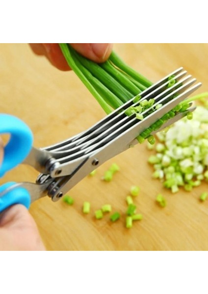 5 Kat Sebze Kesici Yeşil Soğan Herb Laver Baharat Pişirme Aracı Çok Katmanlı Mutfak Makas Paslanmaz Çelik Kesim Mutfak Aksesuarları (Yurt Dışından) fırsatları