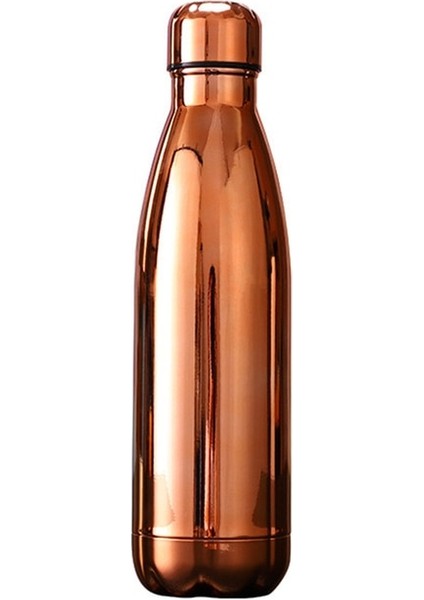 No.22 500 ml Yalıtımlı Paslanmaz Çelik Termos Kupa Spor Su Şişesi Kızlar Için Yıldızlı Gökyüzü Yüzey Termos Kahve Fincanı Şişe (Yurt Dışından)