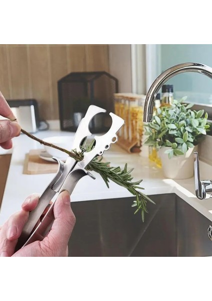 Yaprak Striptizci Paslanmaz Çelik Ot Kıyma Mutfak Sebze Aracı Herb Soyucu Kale Pazı Karalahana Yeşiller Kekik Fesleğen Biberiye (Yurt Dışından)