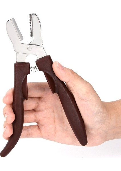 Kahverengi Kestane Kesici Fındık Kraker Kestane Kraker Aracı Paslanmaz Çelik Kestane Klip Uygun Kestane Soyucu Mutfak Aksesuarları (Yurt Dışından) fiyatları