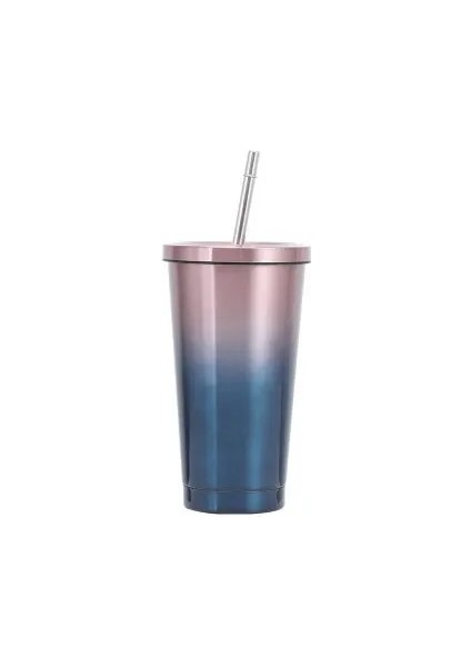 E 500 ml Paslanmaz Çelik Samanlı Bardak Termos Içme Fincan Kahve Süt Su Şişesi Yeniden Kullanılabilir Şişesi Metal Bardak Saman Seyahat Tipi Kupa (Yurt Dışından)