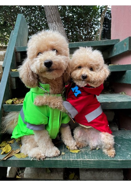 Kırmızı Köpek Yağmurluğu, Reflektörlü Su Geçirmez Yağmurluk, Köpek Kıyafeti Köpek Yağmurluk