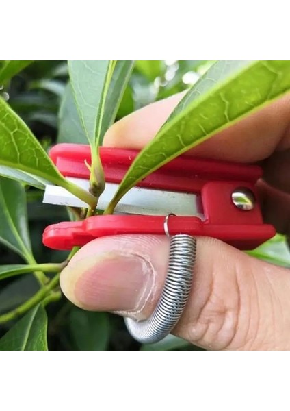 Başparmak Bıçak Bahçe Pruner Meyve Toplama Cihazı Çok Fonksiyonlu Parmak Koruyucu Catcher Güvenli Meyve Bıçağı Aracı Kesme Bıçağı Yüzükler (Yurt Dışından) fırsatları