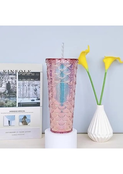 Balık Pulu Bardak 2 710ML 710ML/24OZ Balık Pulu Soğuk Bardak Çift Katmanlı Su Şişeleri Plastik Pipetli Bardak Yeniden Kullanılabilir Kahve Suyu Pipetli Kupa Bardak Noel Hediyeleri (Yurt Dışından)