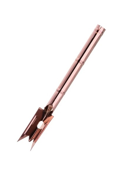 2 Adet Rosegold Bıçak 2 Adet/takım Altın Meyve Servis Araçları Paslanmaz Çelik Ananas Göz Soyucu Kesici Tohum Sökücü Ananas Bıçak Klipleri Mutfak Eşyası (Yurt Dışından)