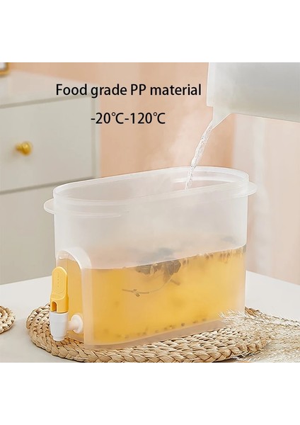 Yeşil 3.9l Buzdolabı Soğuk Su Isıtıcısı Musluk Suyu Meyve Kabı Su Sürahisi Ev Çaydanlık Buz Pot Drinkware Kova Filtreli (Yurt Dışından) indirimleri