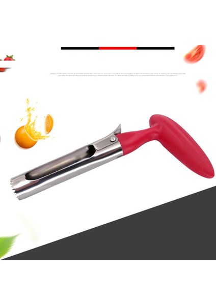 Altın Paslanmaz Çelik Elma Oyacağı Meyve Çekirdeği Çekirdek Sökücü Armut Elma Oyacağı Ekme Makinesi Dilimleme Bıçağı Mutfak Alet Meyve ve Sebze Araçları (Yurt Dışından) modelleri