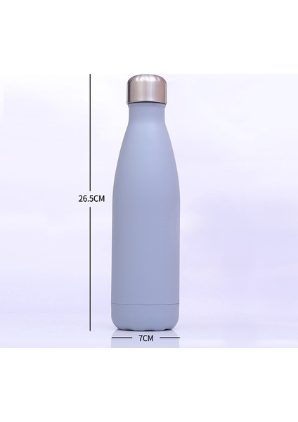 06 500 ml 500 ml Çift Duvar Yalıtımlı Termos Paslanmaz Çelik Su Şişesi Su Bira Termos Spor Şişe Yeni (Yurt Dışından) fiyatları