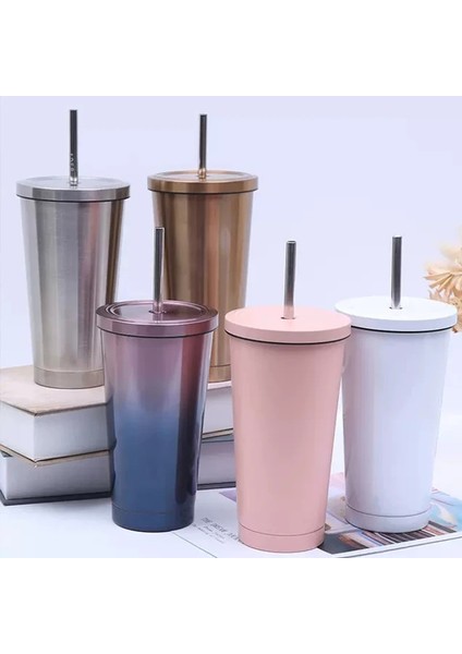 H 500 ml Paslanmaz Çelik Samanlı Bardak Termos Içme Fincan Kahve Süt Su Şişesi Yeniden Kullanılabilir Şişesi Metal Bardak Saman Seyahat Tipi Kupa (Yurt Dışından)
