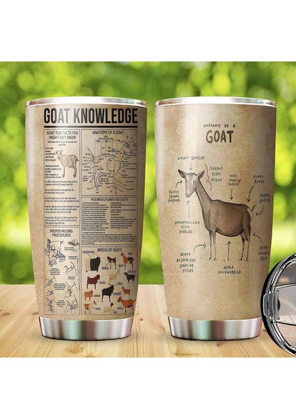 Stil 4 Sevimli Koyun Paslanmaz Çelik Tumbler, Hayvanlar Lover Hediyeler Vakum Yalıtımlı Paslanmaz Çelik Şişe, Sıcak Soğuk, Çift Duvarlı Bardak (Yurt Dışından) indirimleri