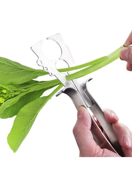 Yaprak Striptizci Paslanmaz Çelik Bitki Kıyma Salata Kıyıcı Mutfak Ot Yaprak Sıyırma Aracı Soyma Mutfak Için (Yurt Dışından)