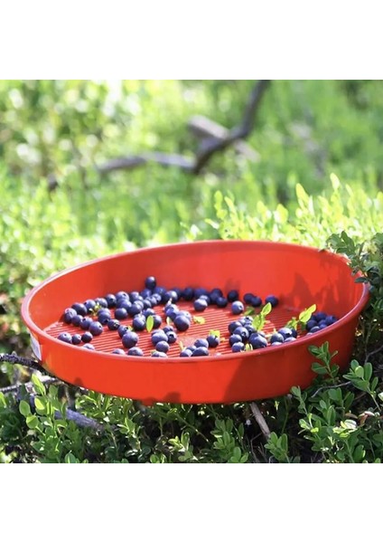 Berry Sepeti Berry Temizleme Sepeti Ev Meyve Sebze Kabı Gıda Yıkama Kutusu Yaban Mersini Makarna Drenaj Sepeti Mutfak Aksesuarları (Yurt Dışından) modelleri